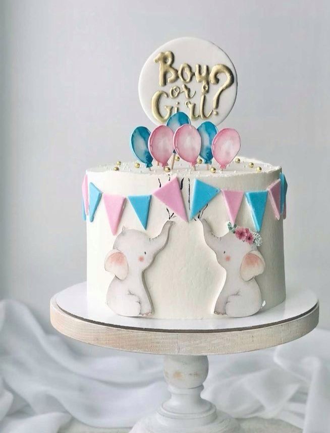 Gender Reveal Cake-2D Print